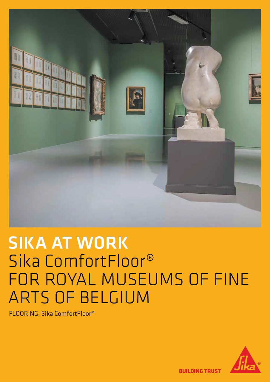 Royal Museums of Fine Arts of Belgium Flooring